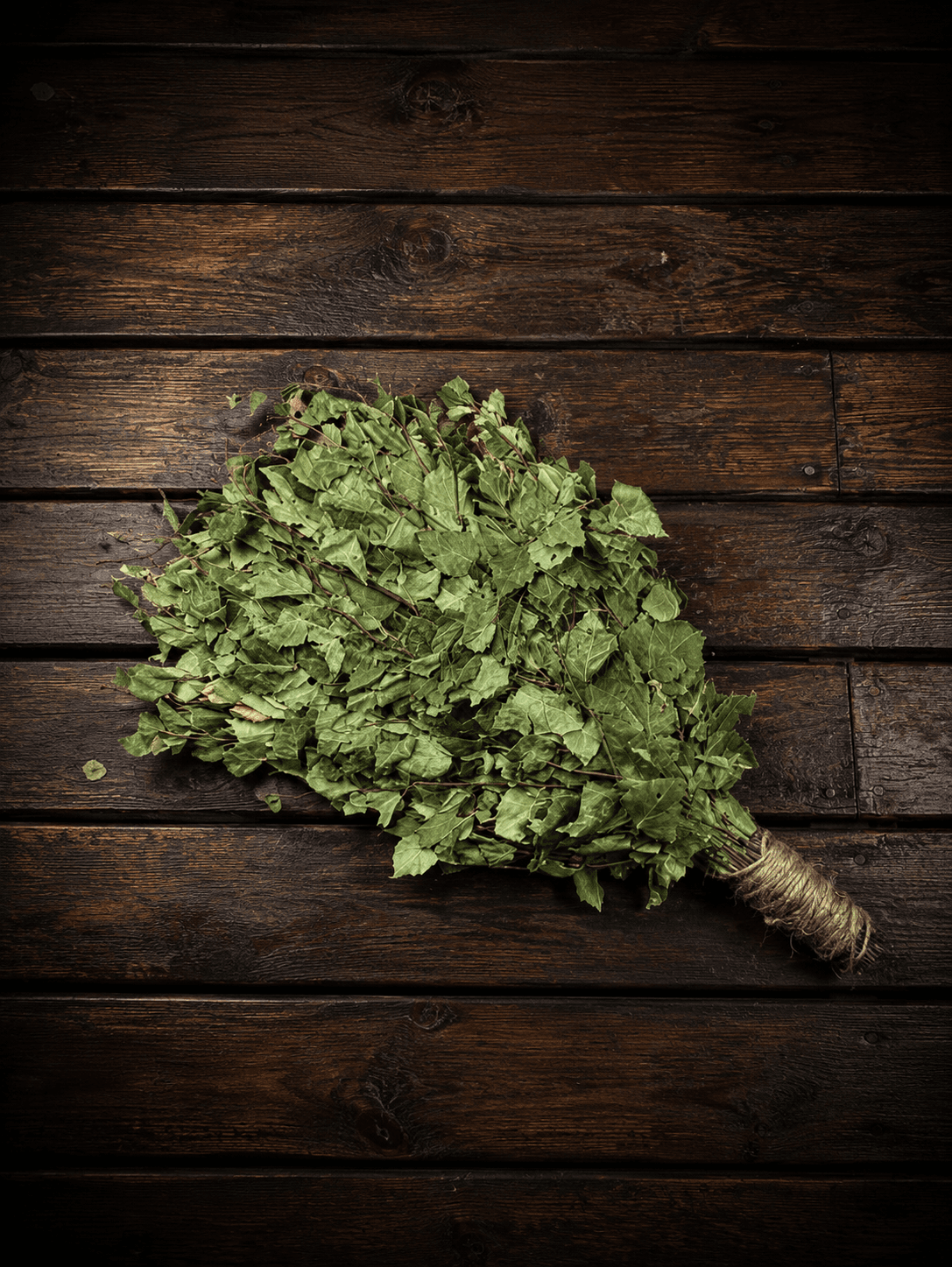Birch bath broom